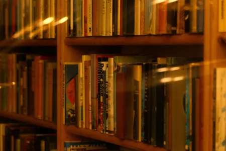 Boeken in boekenkast